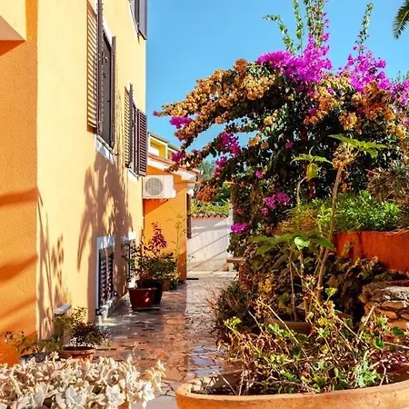 Apartman Ellen *
